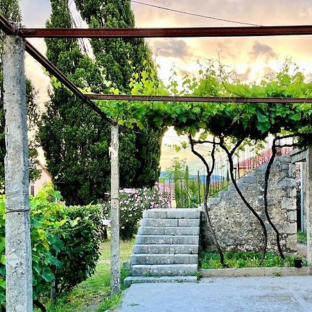 Apartman Boljevic Podgorica Exteriér fotografie