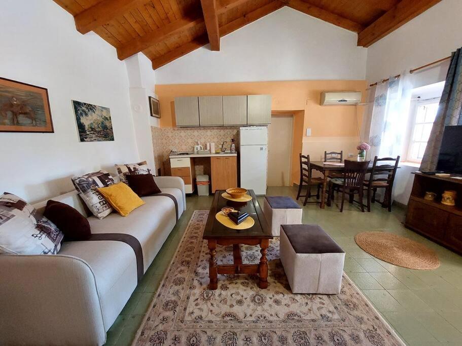 Apartman Boljevic Podgorica Exteriér fotografie