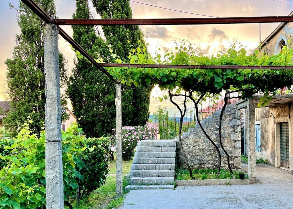 Apartman Boljevic Podgorica Exteriér fotografie