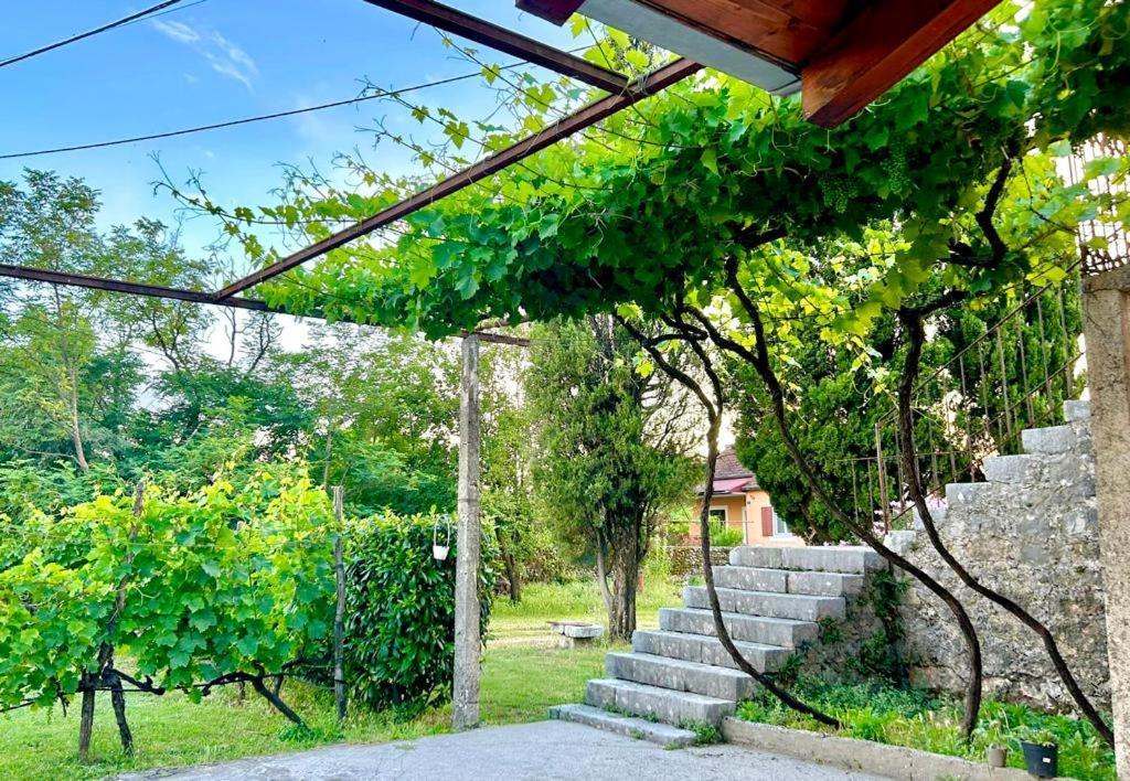 Apartman Boljevic Podgorica Exteriér fotografie