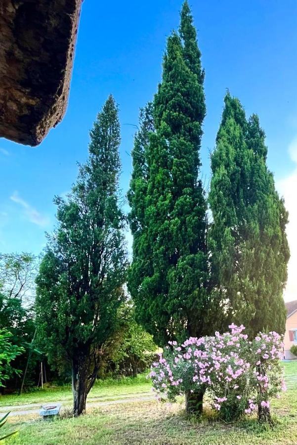 Apartman Boljevic Podgorica Exteriér fotografie